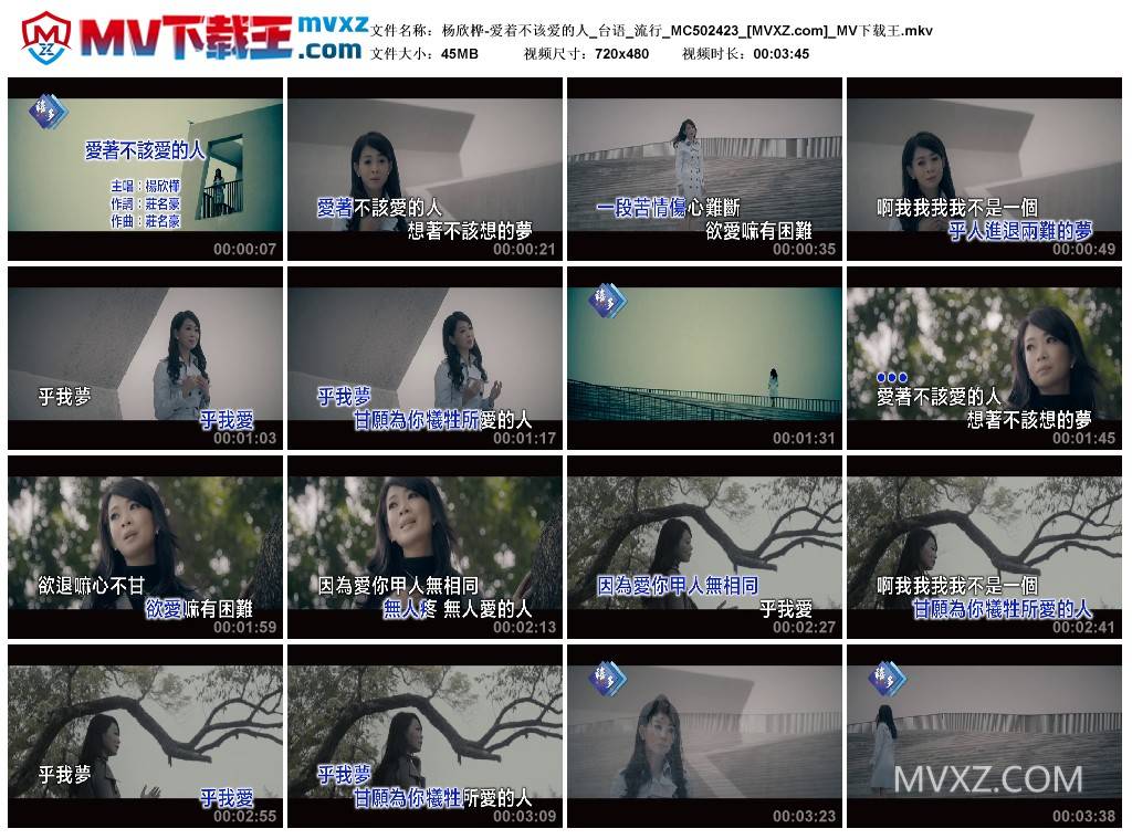 杨欣桦-爱着不该爱的人_台语_流行_MC502423